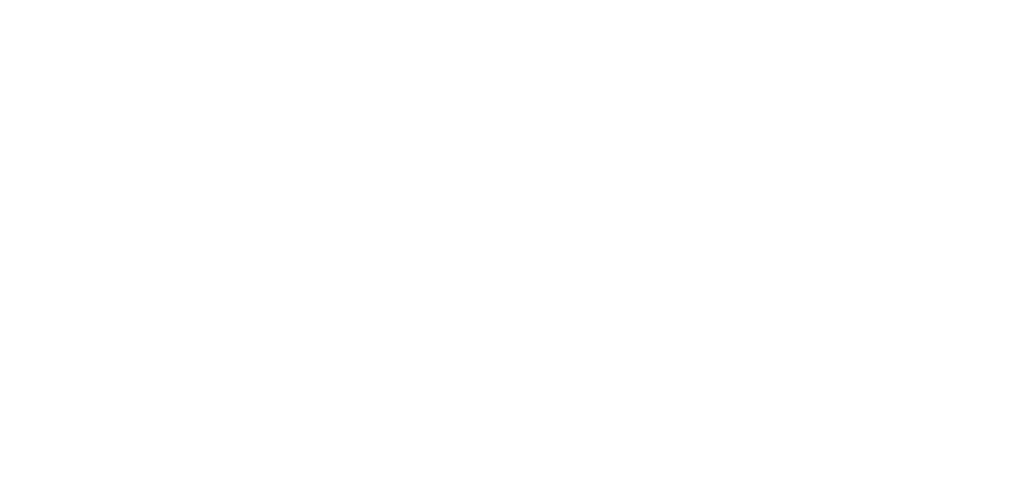 minnowbar logo white